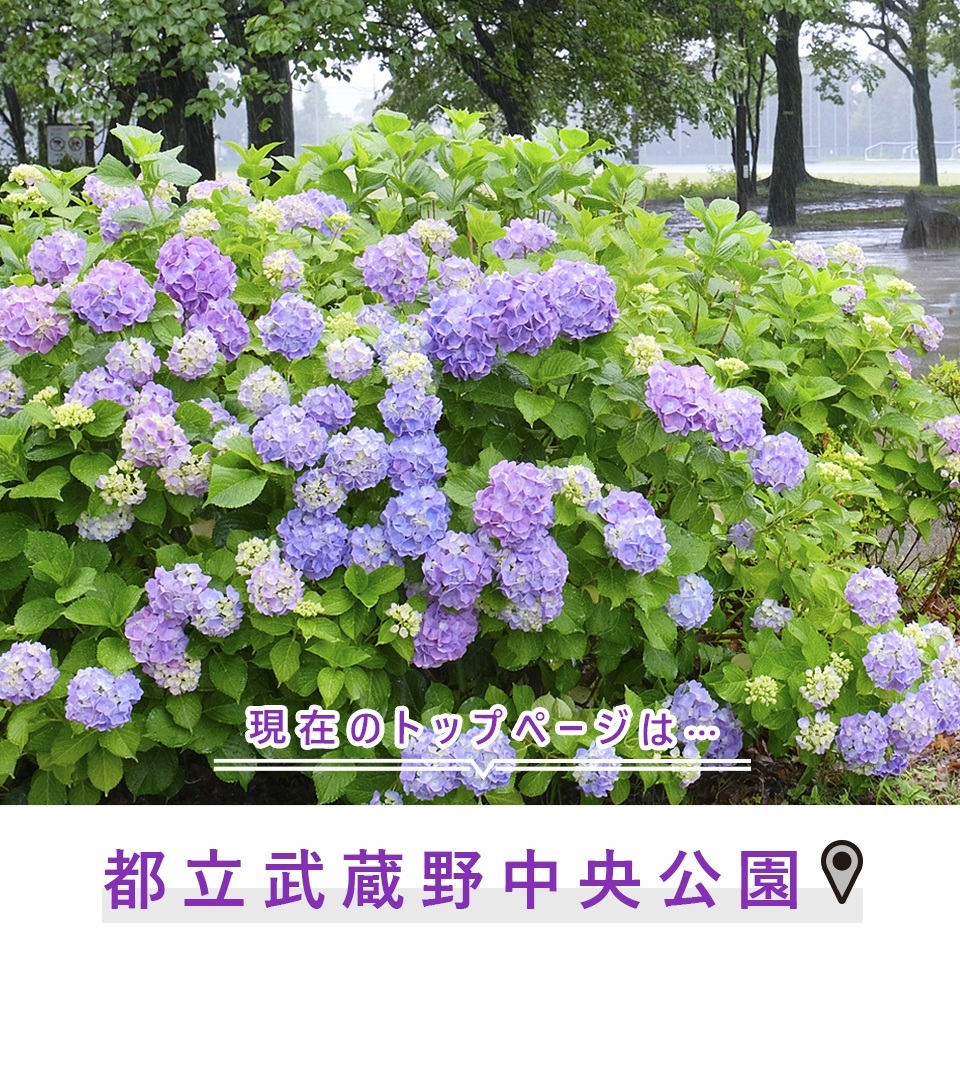 現在のトップページは…都立武蔵野中央公園