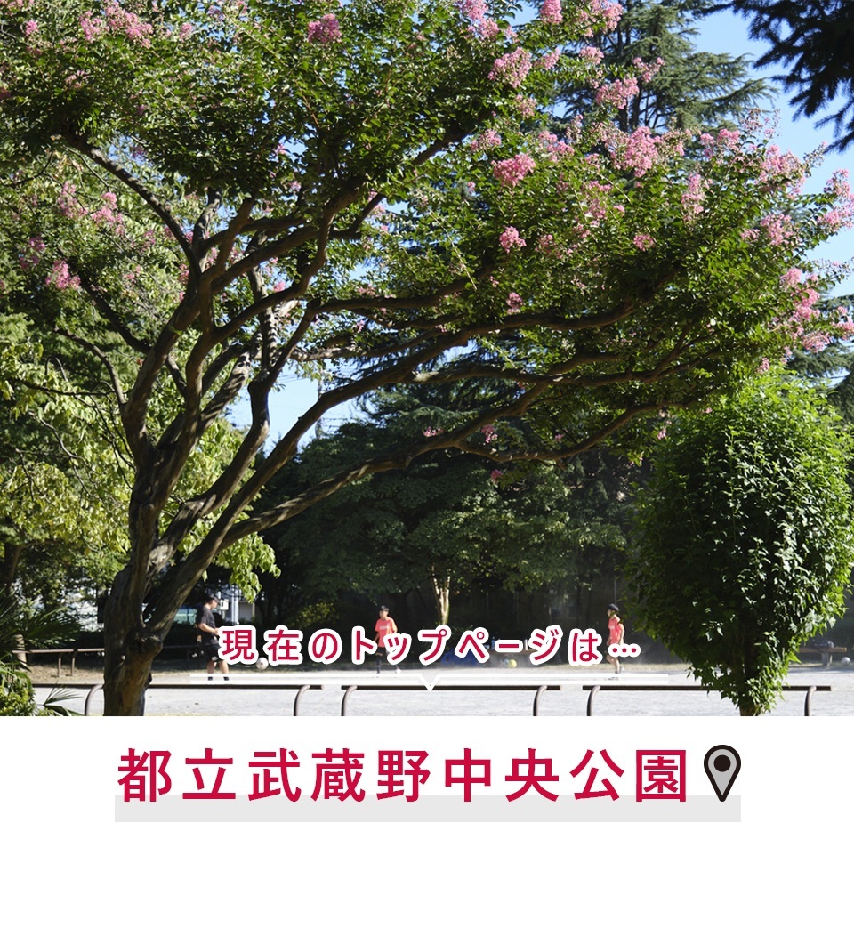 現在のトップページは…都立武蔵野中央公園