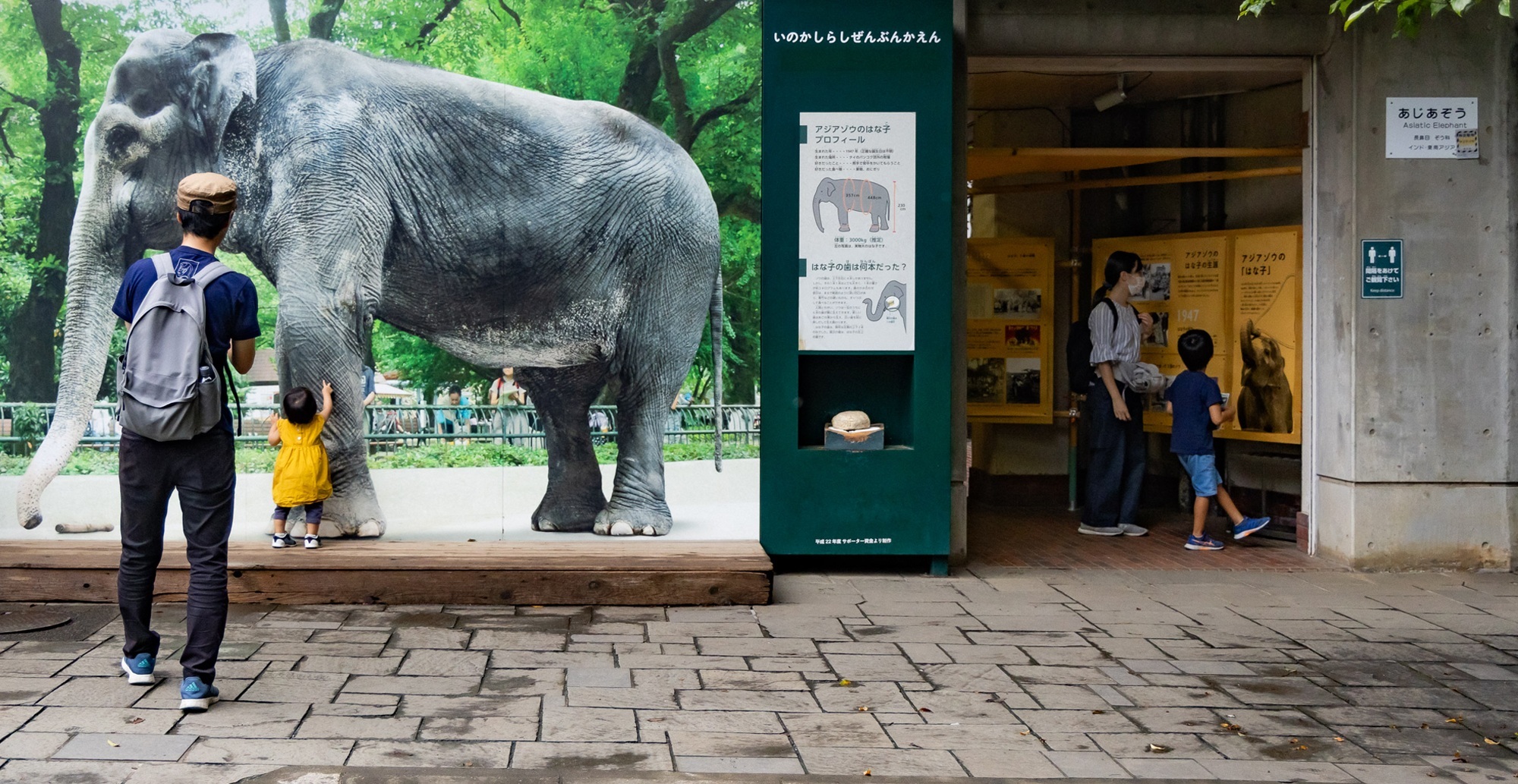 写真：井の頭恩賜公園にある井の頭自然文化園。入口のアジアゾウのはな子の写真パネルの前の親子の様子。