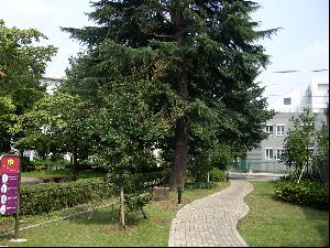 はらっぱむさしのの写真