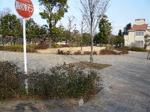 はらっぱむさしのの写真