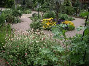 緑の創作園の写真