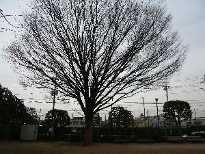 境本公園の様子の写真