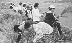 セカンドスクール 活動の写真