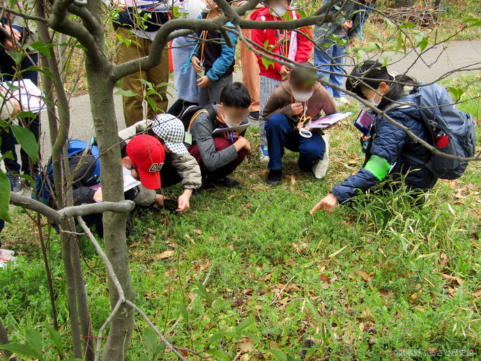 むさしの発見隊の写真