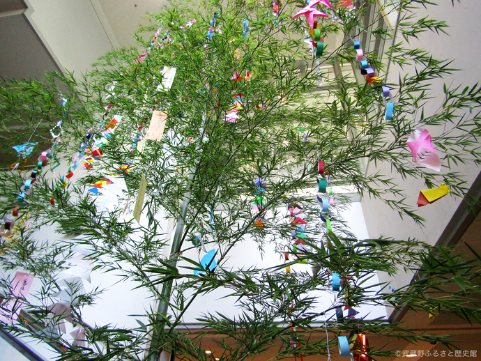 七夕飾りの写真