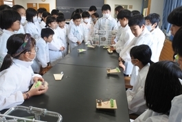 サイエンスクラブの写真