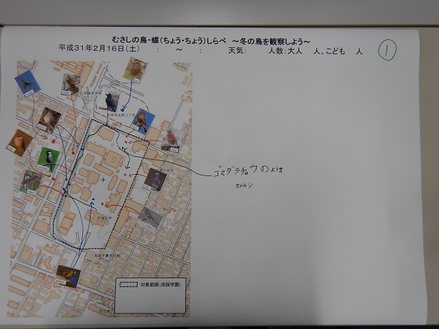 観察結果のまとめの写真2