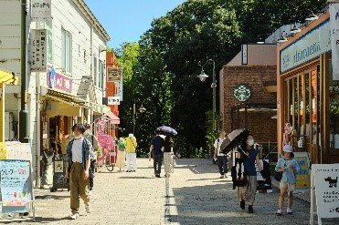 無電柱化された市道の写真