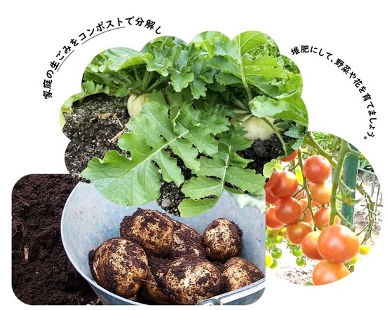 ダンボールコンポストの写真