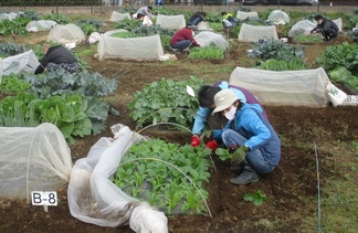 講習会の様子の写真