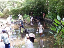 かいぼりの写真