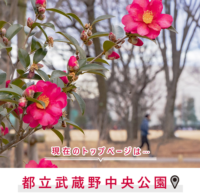 現在のトップページは...都立武蔵野中央公園