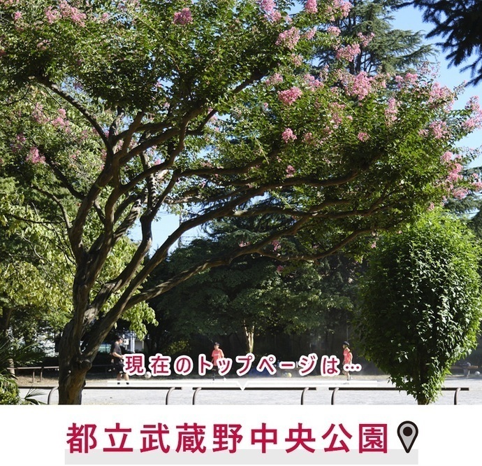 現在のトップページは...都立武蔵野中央公園