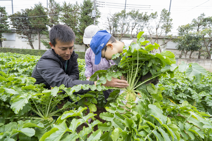 写真：農家見学会の様子
