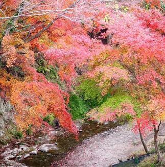 写真: 野島埼灯台