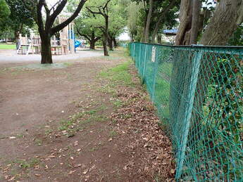 フェンスゾーンの写真