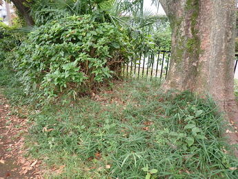 花壇ゾーンの写真