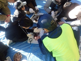 土の中の生きものを探す様子の写真