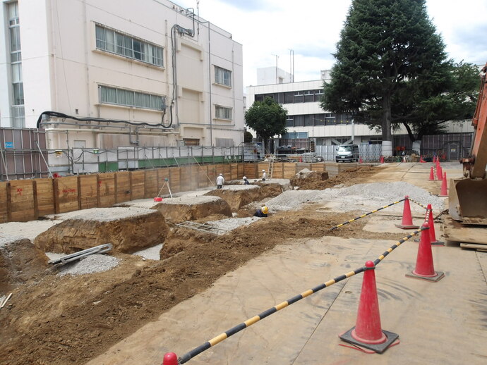 根伐り作業をしている。