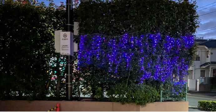 パープルライトアップ写真