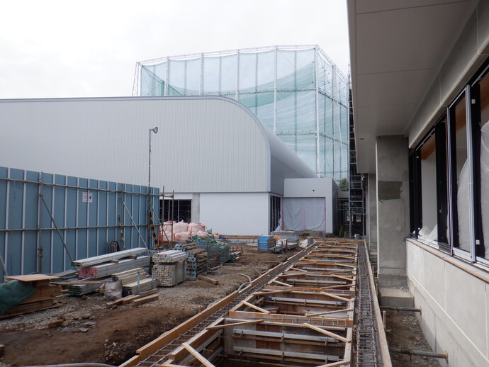 写真：体育館棟の一階部分を外から撮影しています。