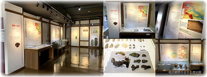 新常設展示「原始・古代」の写真