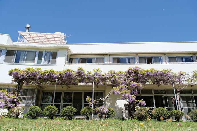 旧赤星鉄馬邸の藤棚