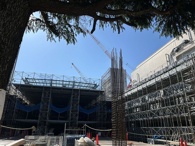 柱主筋が立ち上がっています。