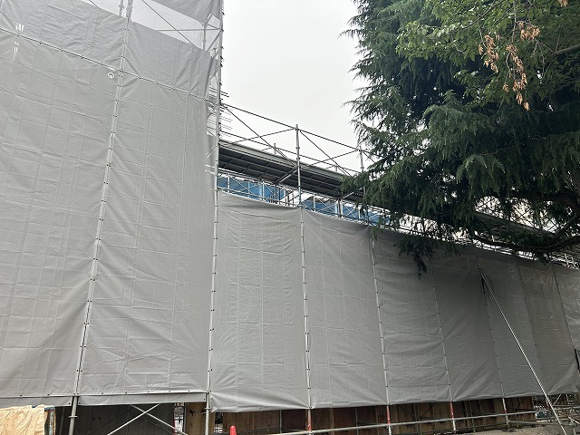 柱主筋が立ち上がっています。