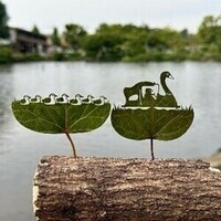 葉っぱ切り絵作品の写真