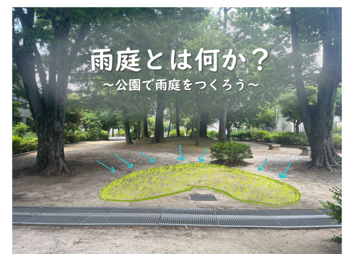 雨庭とは何か？～公園で雨庭をつくろう～