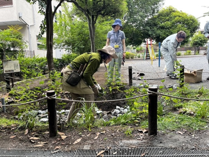 雨庭のお手入れの写真